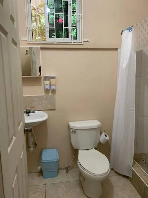 Mona Studio Suite Kingston