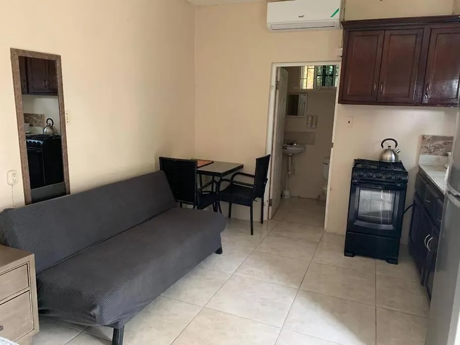Mona Studio Suite Kingston Appartement