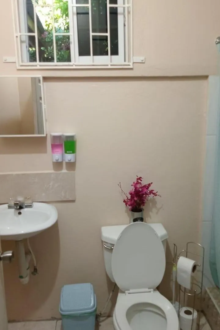 Mona Studio Suite Kingston