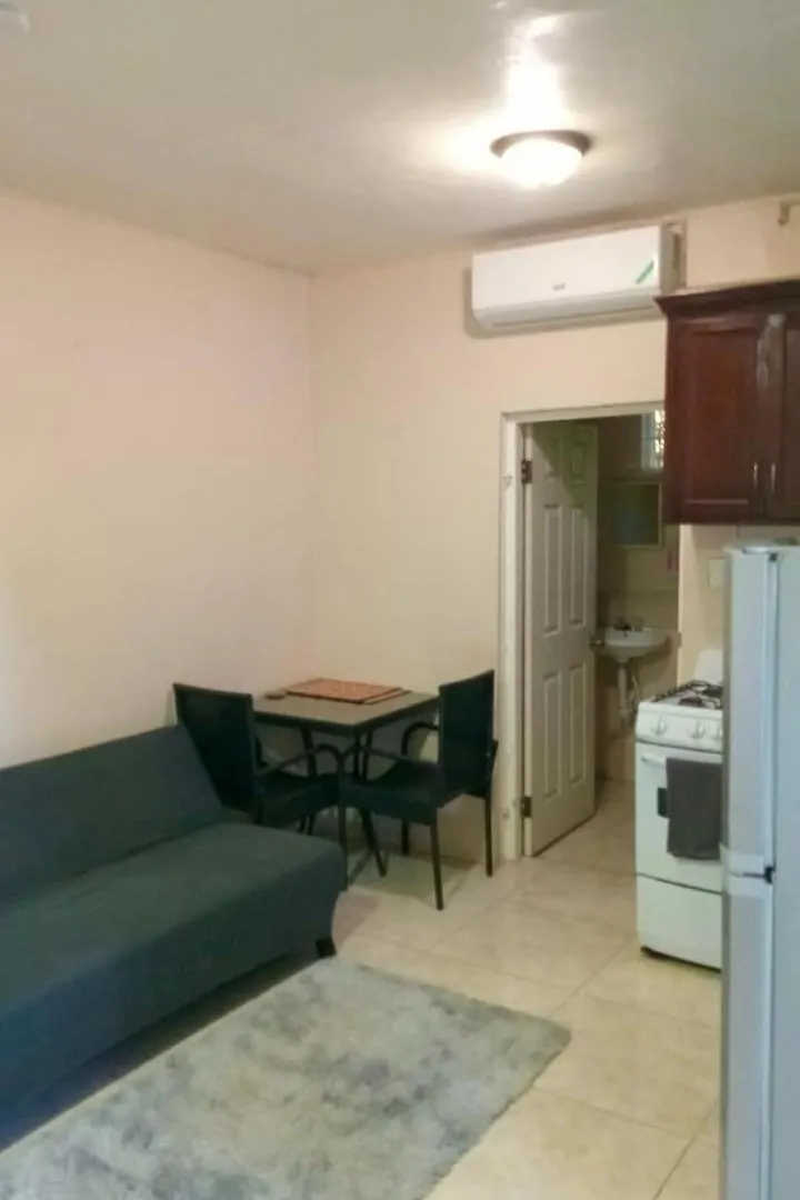 Mona Studio Suite Kingston Appartement